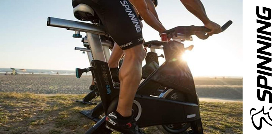 Fox Sport Team Online