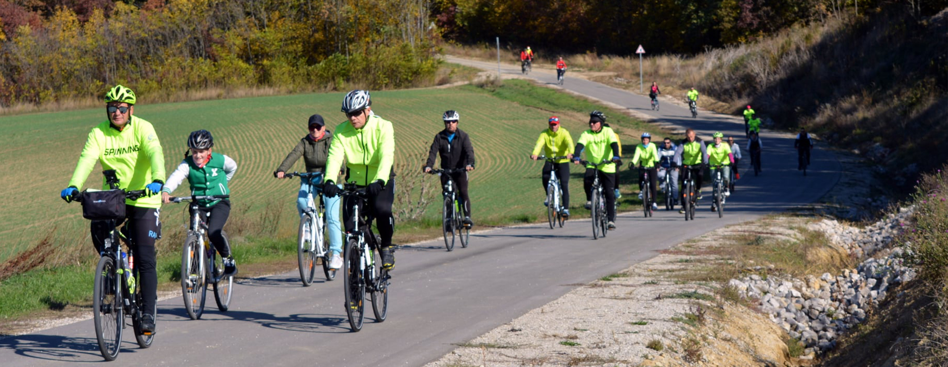 Fox Sport Team Online